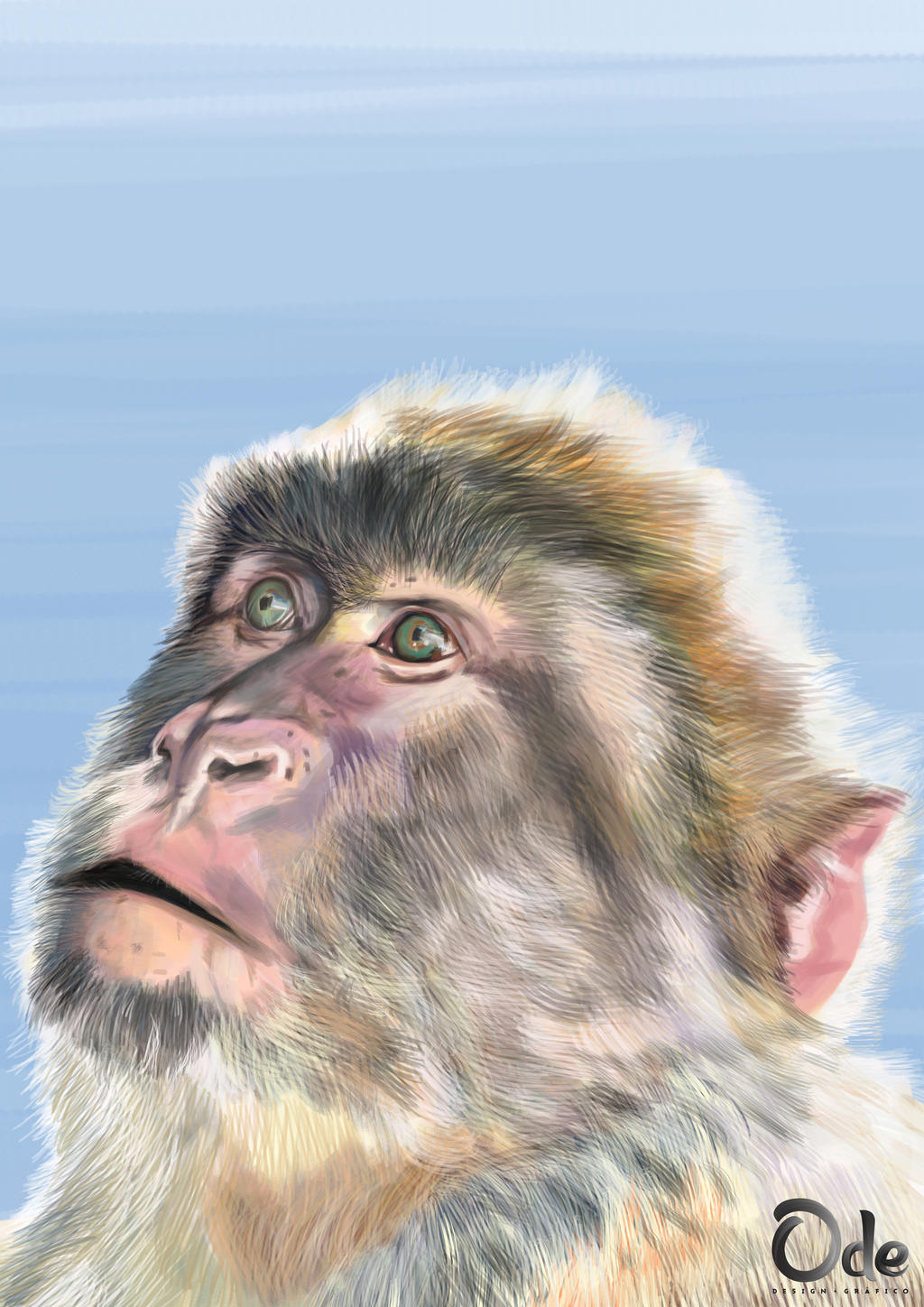 Monkey by odemilson on DeviantArt