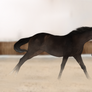 Running Circles
