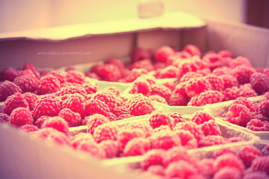 Fresh raspberries by nomatterwhy