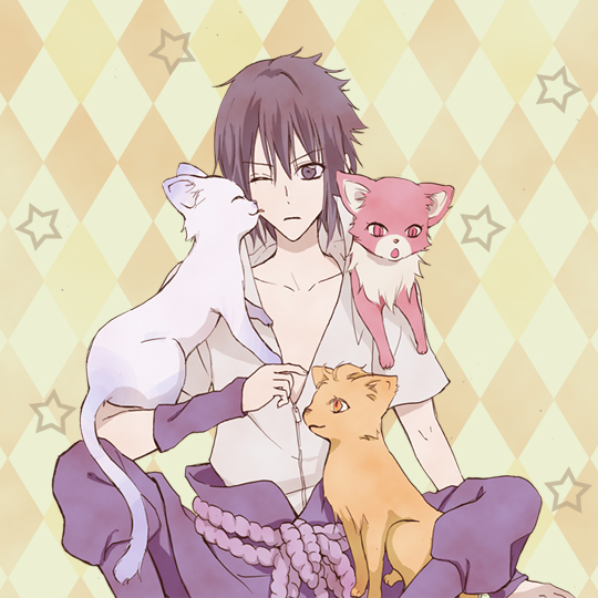 cats and sasuke