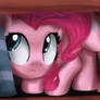 Pinkie on the shelf