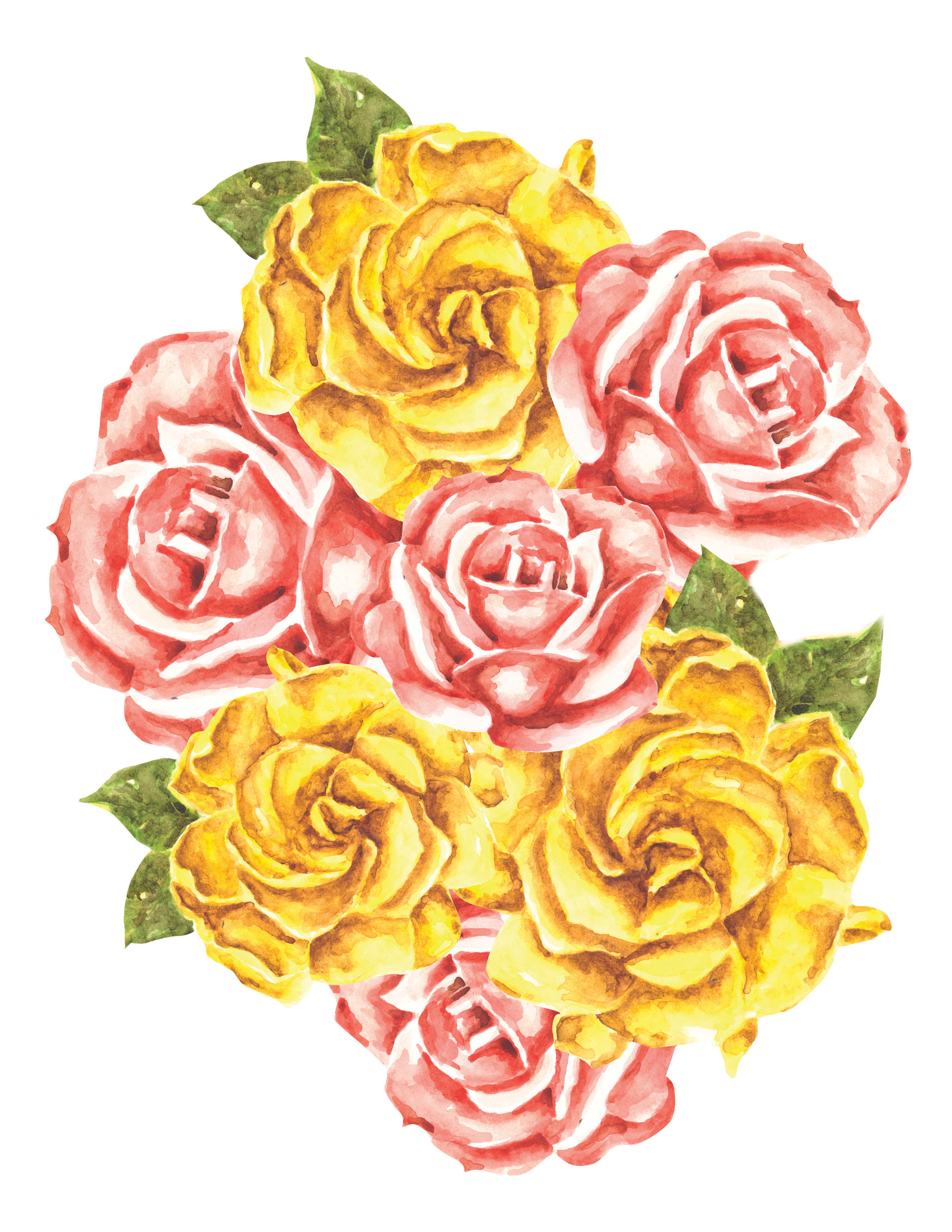 rose and gardenia watercolor