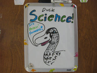 Duck Science!