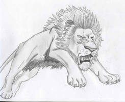 Panthera Leo