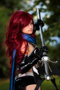 Fairy Hunter - Erza Knightwalker