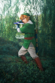 The Legend of Zelda: Skyward Sword Link cosplay