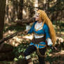 The Legend of Zelda: Breath of the Wild cosplay