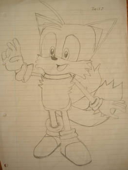 Tails Observational Drawing