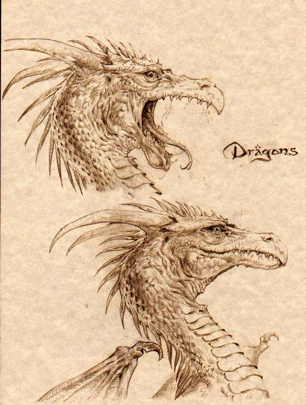 Dragons Head study