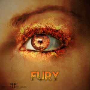 Fury