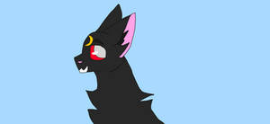 DTIYS prizes- free headshot