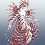 Red Lionfish ~ Day 14