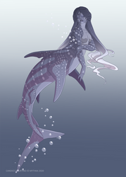 Whale Shark ~ 29