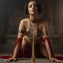 Ana - Leia Chained