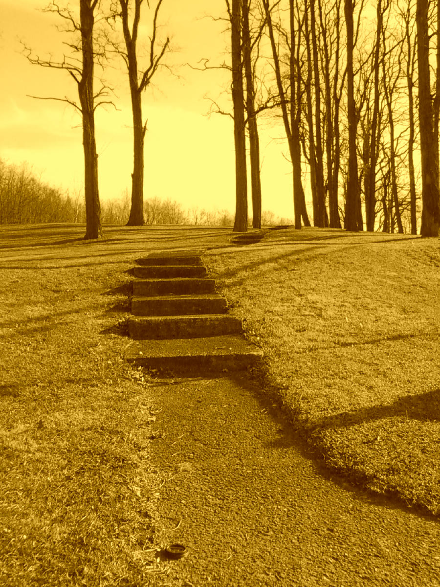 Step After Step Steps After Steps by Dozerson on DeviantArt
