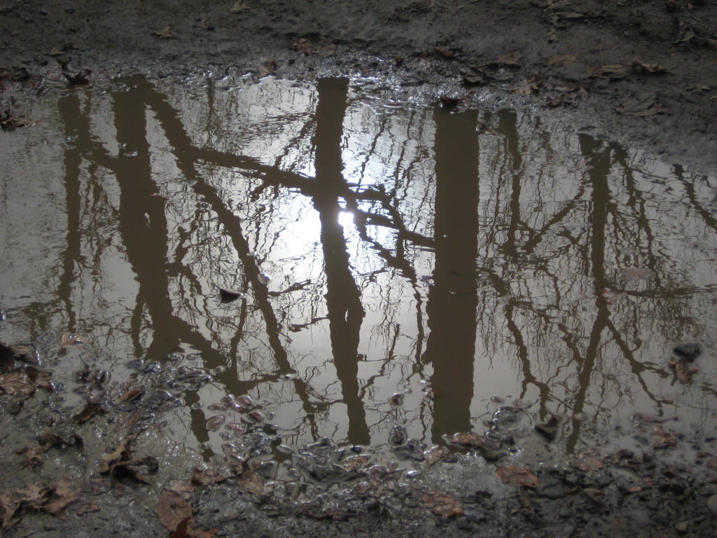 Muddy Reflections by Dozerson on DeviantArt