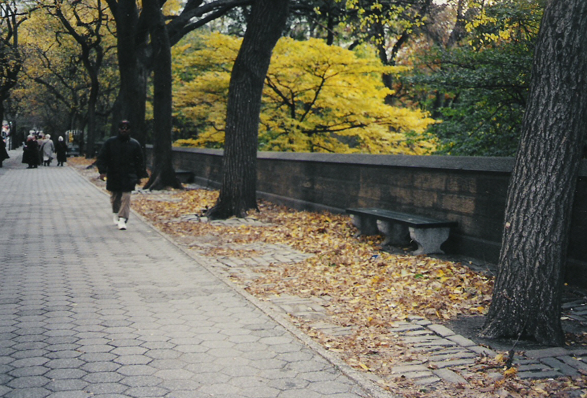 Central Park II