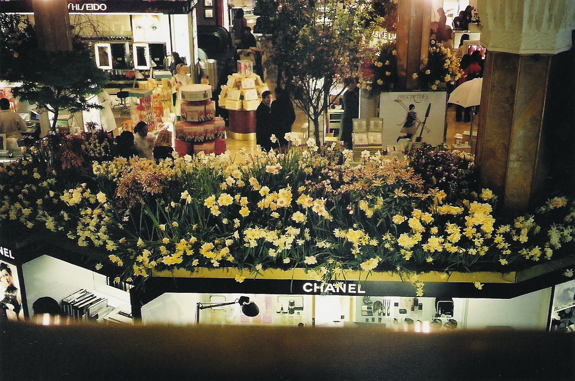 Flowershow II