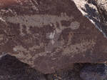 Petroglyph detail