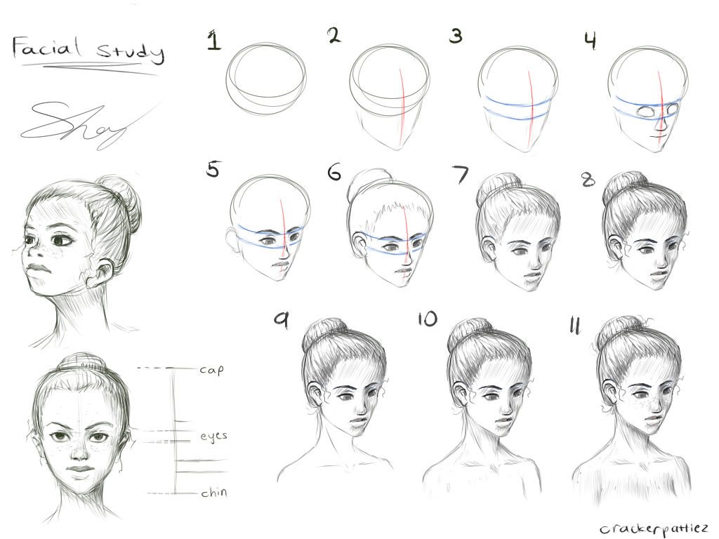 Female Face Study by crackerpattiez on DeviantArt