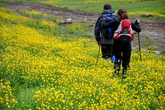 Trekking