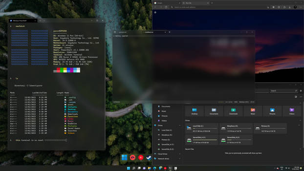 Windows 11 Customisation Preview