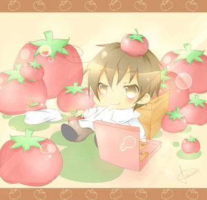 APH: Romano's Tomato Land