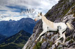 I Have To Jump by howrsingqueen123