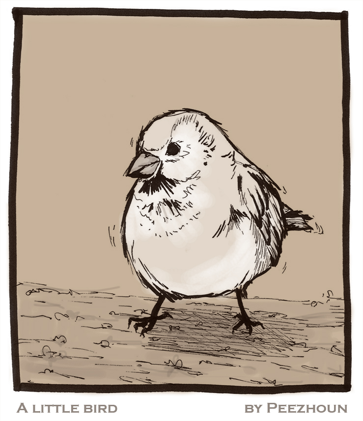 A little bird