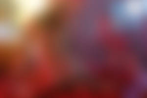 The Photographer - 1