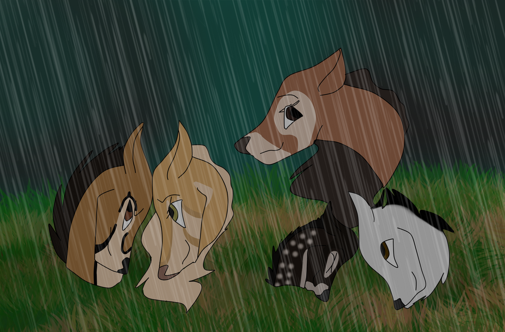Who Cares If It Rains?
