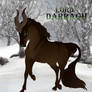Lord Darragh | Glenmore Lord | Stag