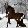 Lord Darragh | Glenmore Lord | Stag