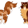 Cedar X Cinnamonheart X Fawnwish Tryouts