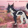 Hazefrost | Dame | Shadowclan Warrior