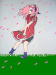 Sakura - Spring by UchihaxD