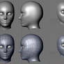 3D human head model -reference