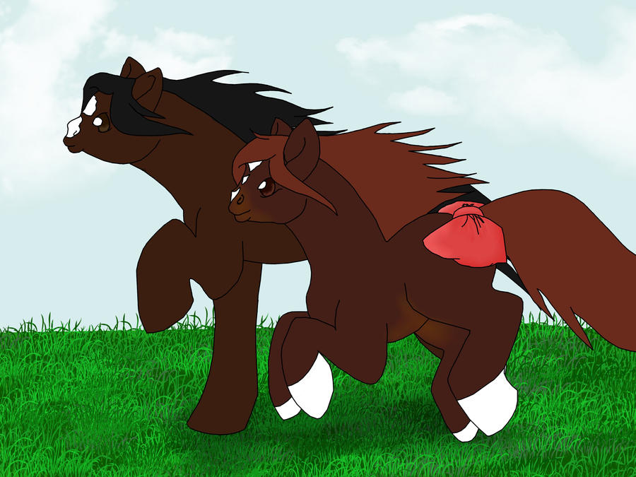 Secret Santa for HoofHaven