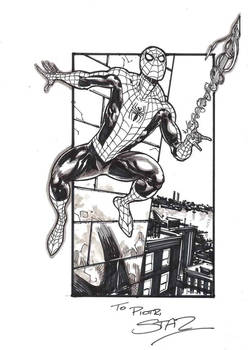 Spiderman PRIVATE COMMISSION.