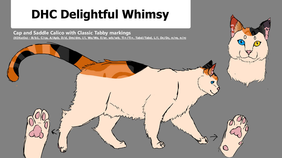 DHC Delightful Whimsy | Molly by DragonhillRanch on DeviantArt