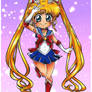 Sailor Moon~ the pretty guardian