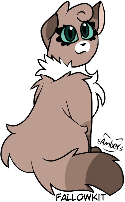 Fallowkit Fallowkit by SylviaSylveon1 on DeviantArt