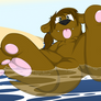 Silly Wet Otter Feets