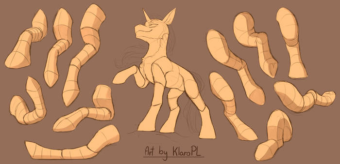 Pony Study - Front and Back Legs