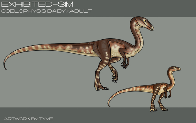 Exhibited: Coelophysis