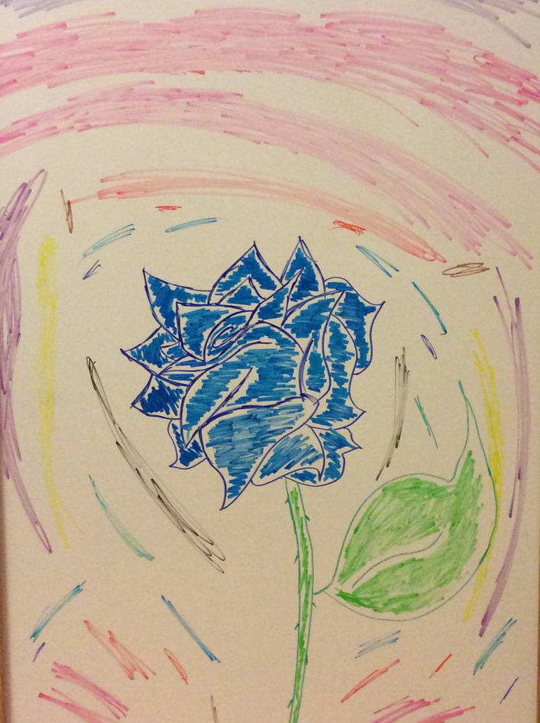 Blue Rose whiteboard drawing by Snowleopard2801 on DeviantArt