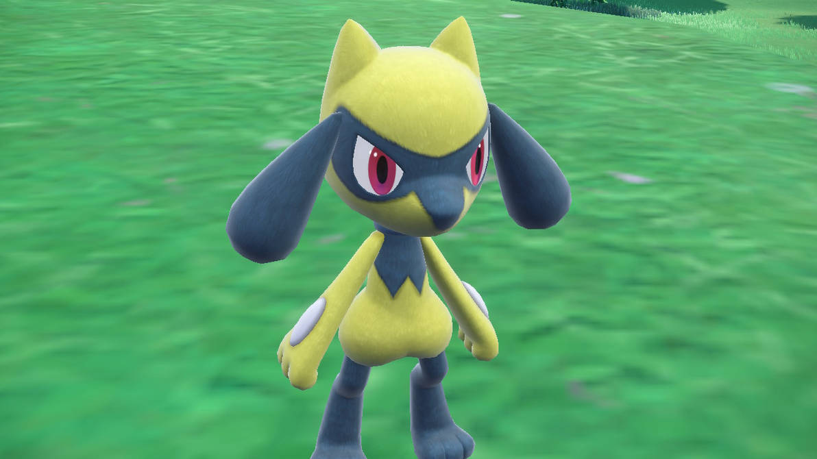 Golden Riolu by zoruagalaxy on DeviantArt