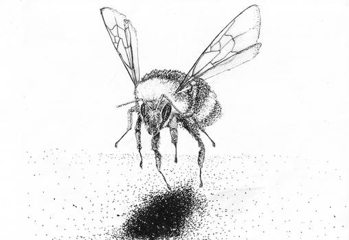 bee