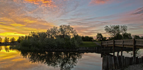 Bridge over the pond