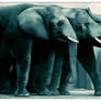 Elephants digital painting 2014-08-19